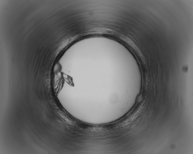 X0000099930834200806201055