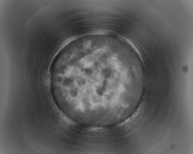 X0000099930835200806201055