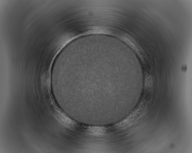 X0000099930836200806201055