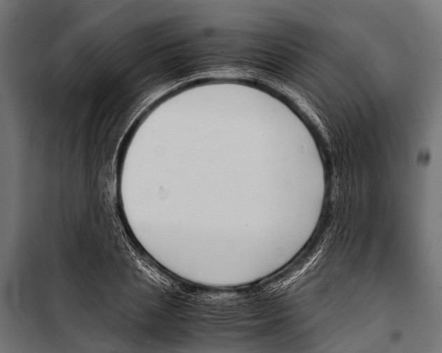 X0000099930837200806201055