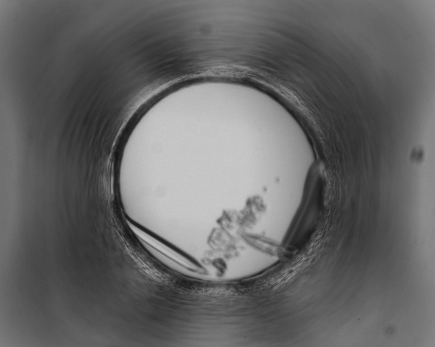 X0000099930838200806201055