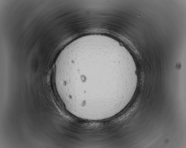 X0000099930841200806201055