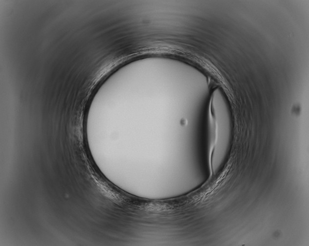 X0000099930842200806201055