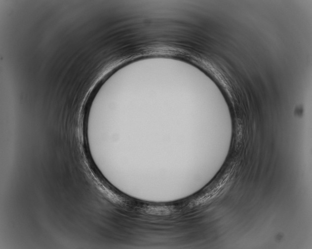 X0000099930843200806201055