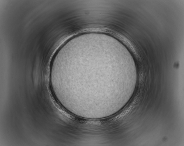 X0000099930844200806201055