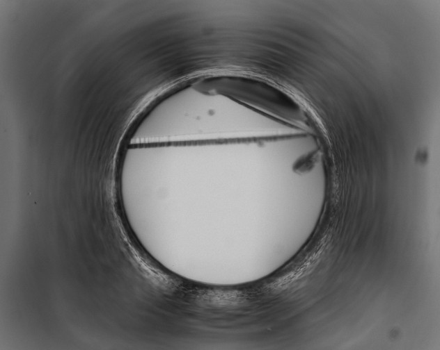 X0000099930845200806201055