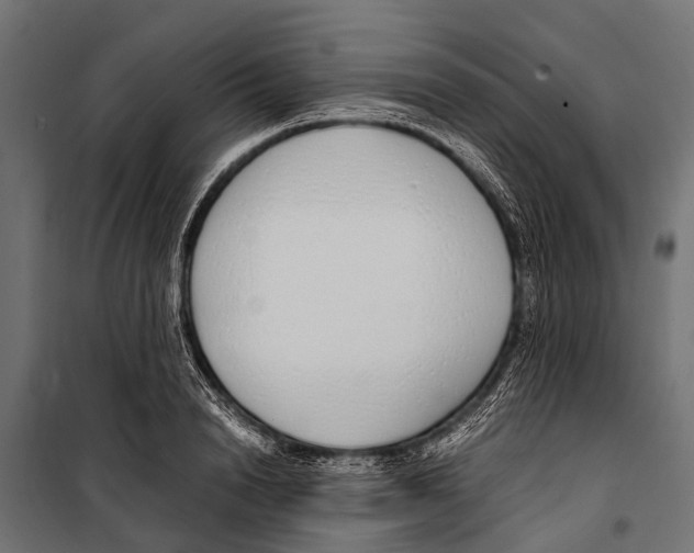 X0000099930846200806201055