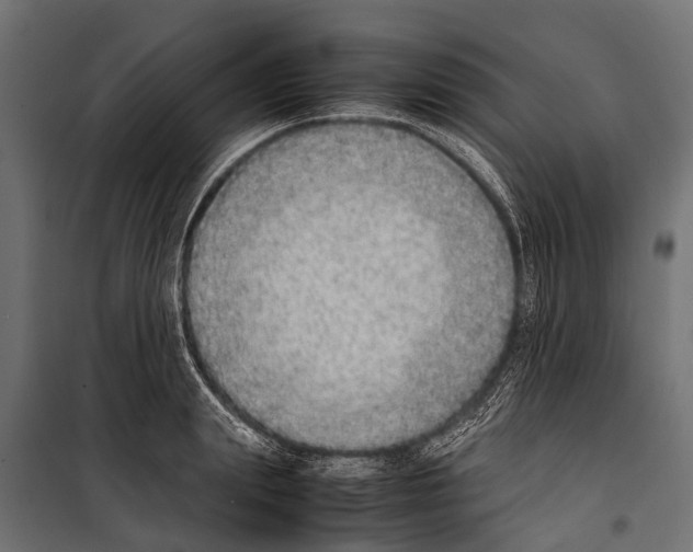 X0000099930847200806201055