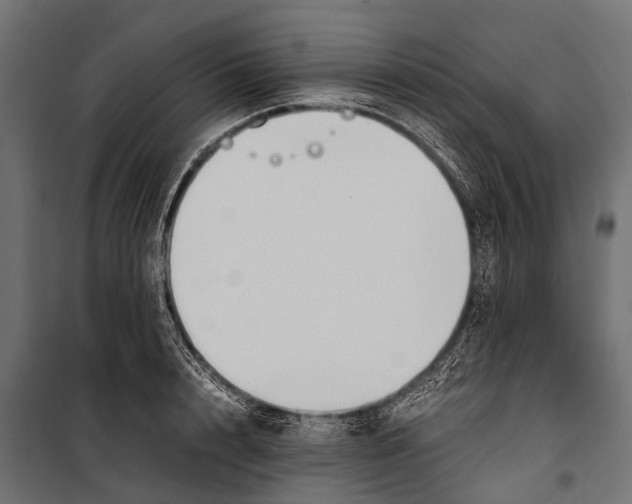 X0000099930848200806201055