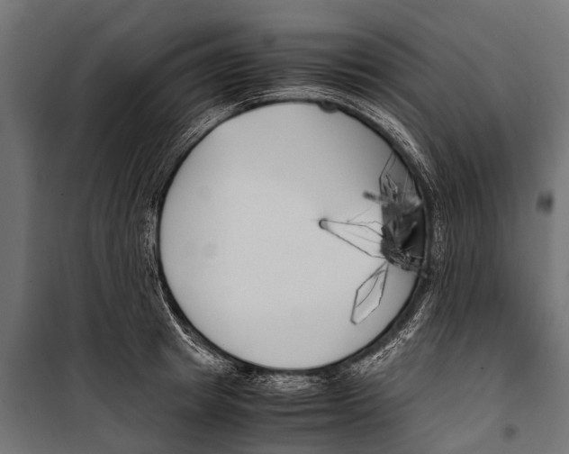 X0000099930849200806201055