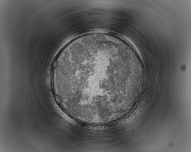 X0000099930851200806201055