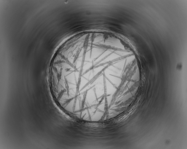 X0000099930855200806201055