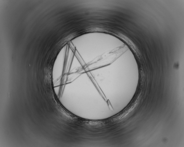 X0000099930857200806201055