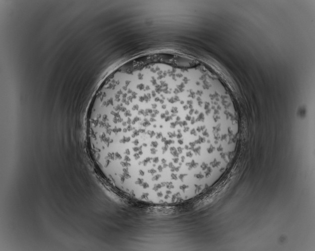 X0000099930858200806201055