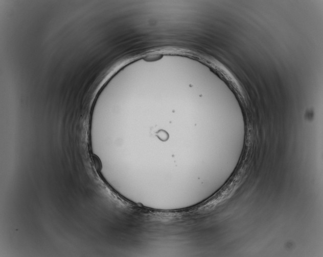 X0000099930860200806201055