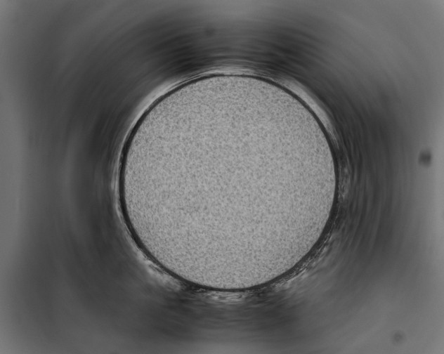 X0000099930861200806201055