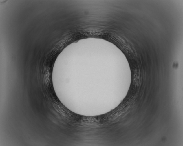 X0000099930866200806201055