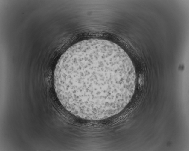 X0000099930867200806201055