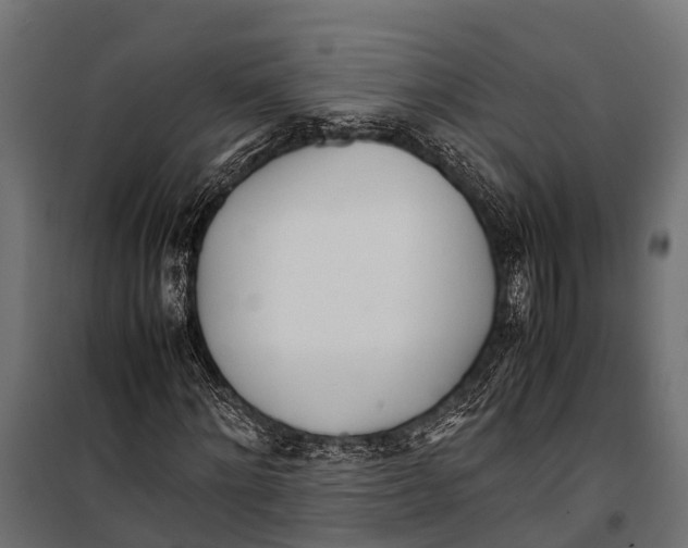 X0000099930868200806201055