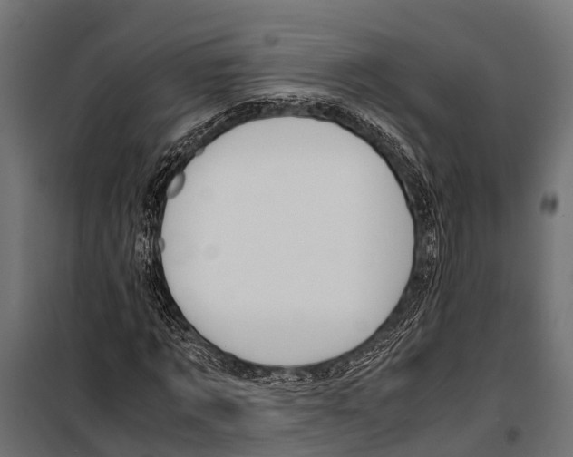 X0000099930869200806201055