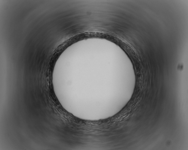 X0000099930870200806201055