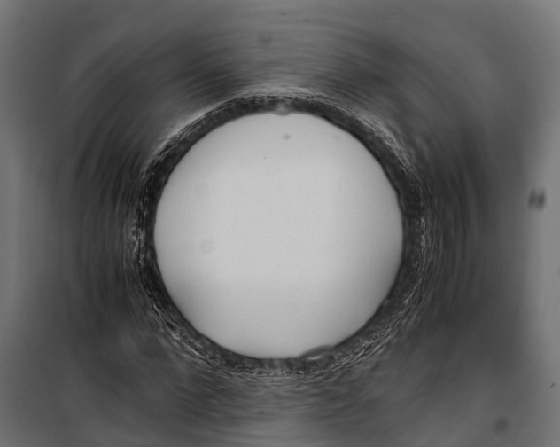 X0000099930872200806201055