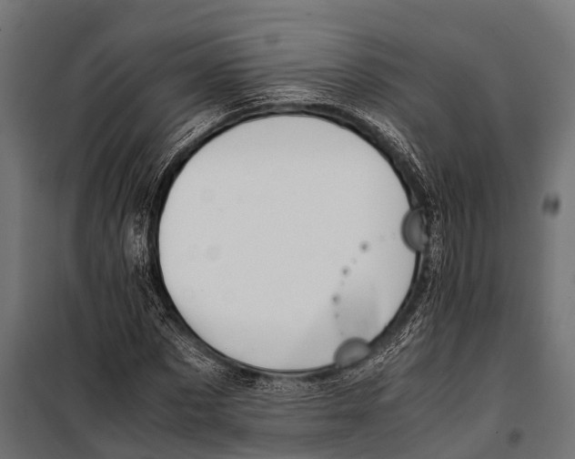 X0000099930873200806201054