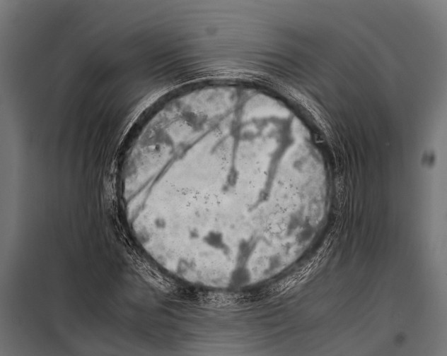 X0000099930875200806201054