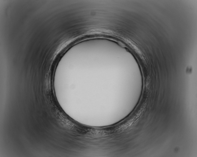 X0000099930877200806201054