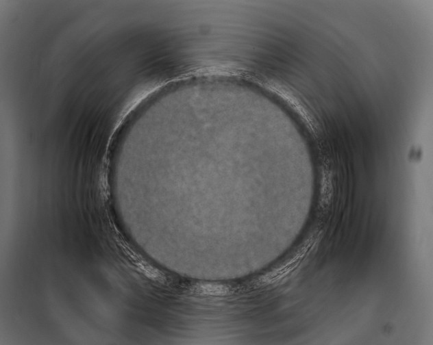 X0000099930878200806201054