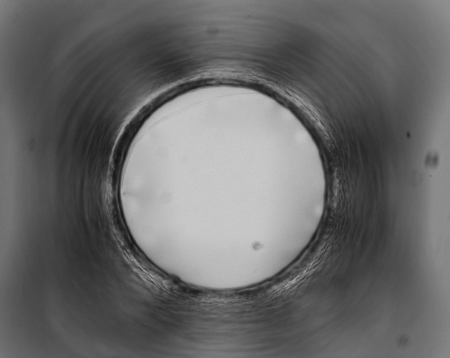 X0000099930880200806201054