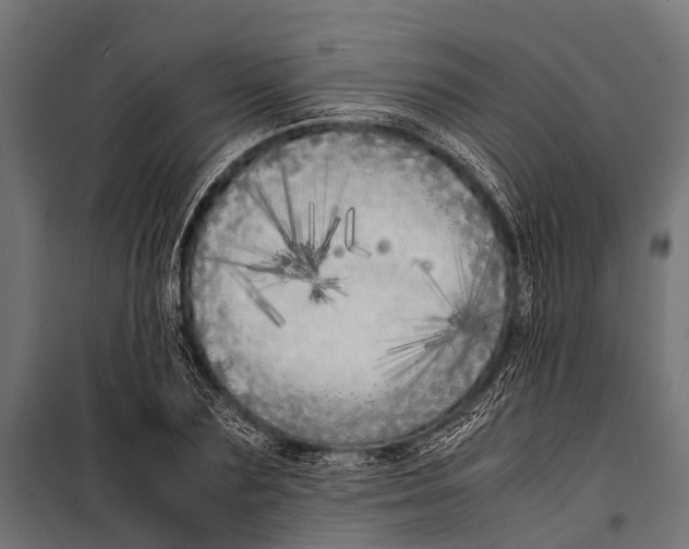 X0000099930883200806201054