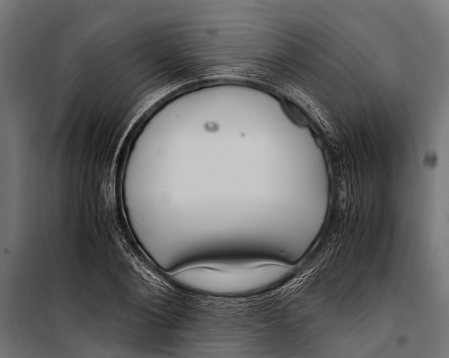 X0000099930884200806201054