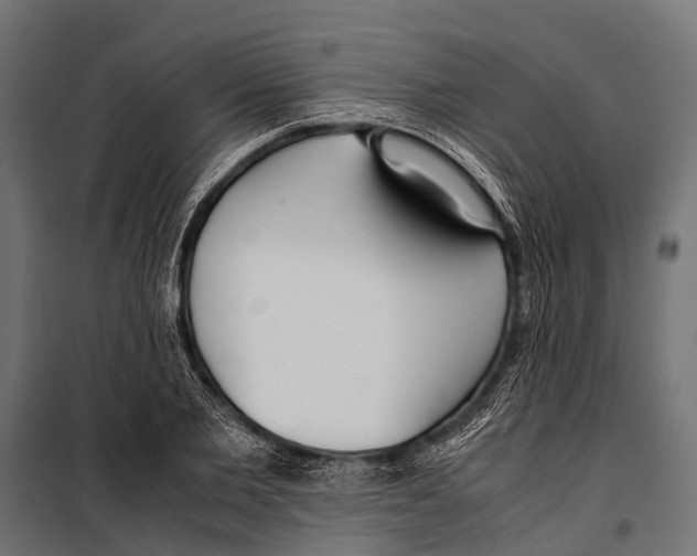 X0000099930885200806201054