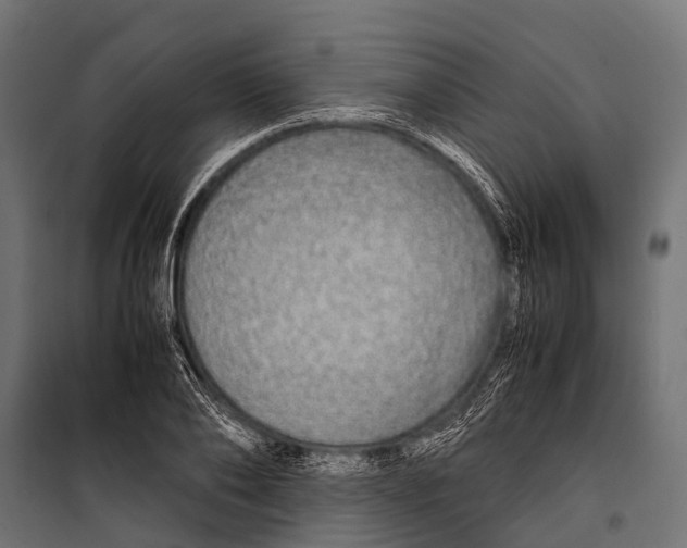 X0000099930886200806201054