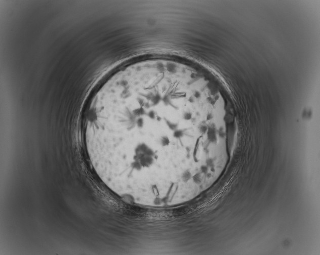 X0000099930887200806201054