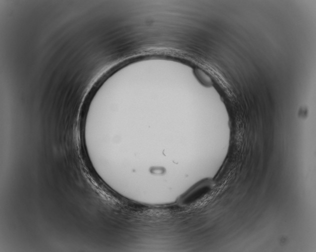 X0000099930888200806201054