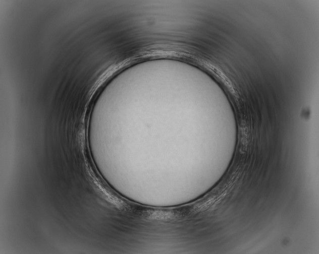 X0000099930890200806201054