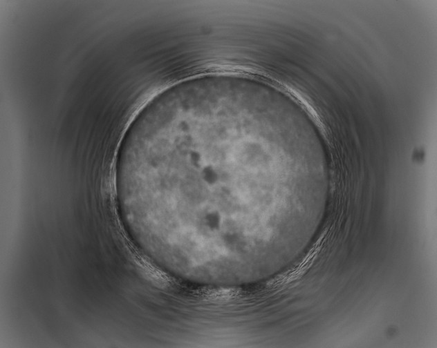 X0000099930891200806201054