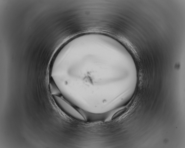 X0000099930892200806201054