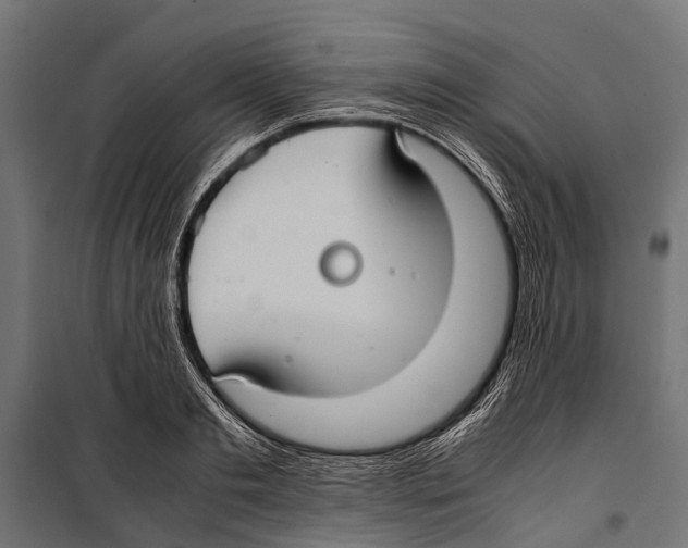 X0000099930893200806201054