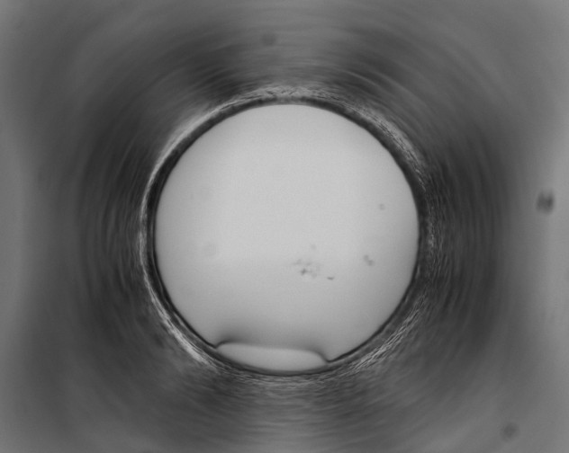 X0000099930894200806201054