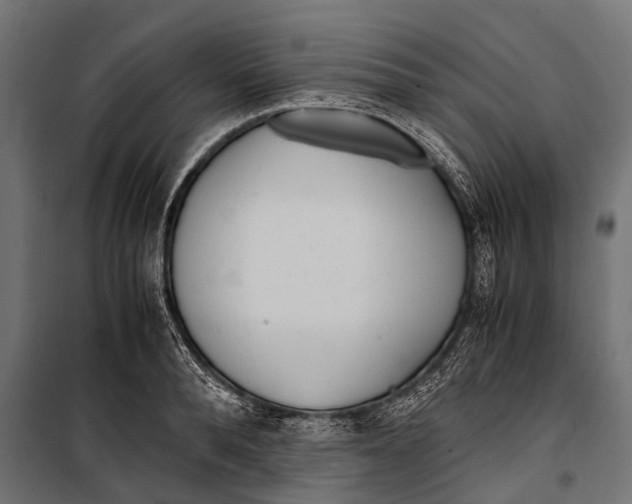 X0000099930896200806201054