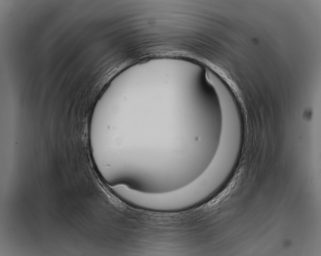 X0000099930897200806201054