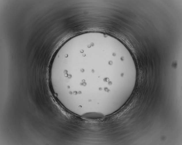 X0000099930898200806201054