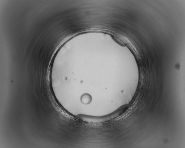 X0000099930900200806201054