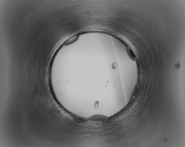 X0000099930901200806201054