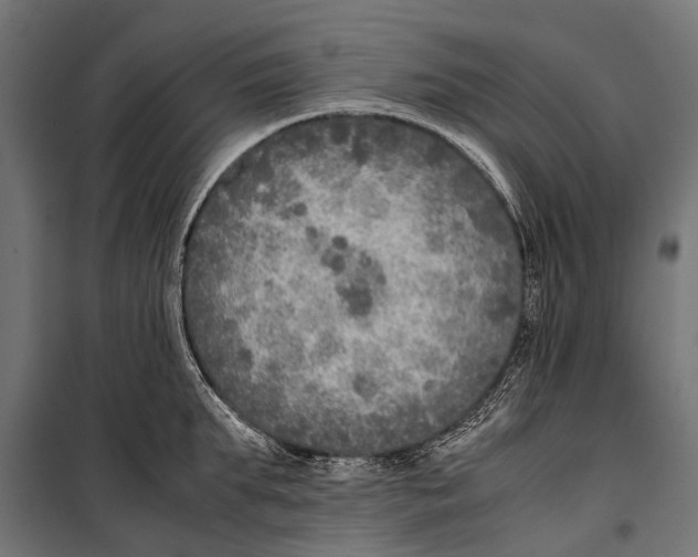 X0000099930903200806201054