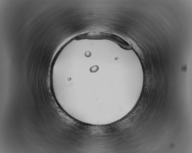 X0000099930904200806201054