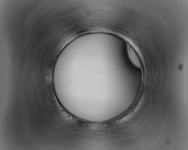 X0000099930905200806201054